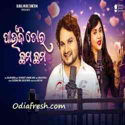 Paunji Tora Chham Chham